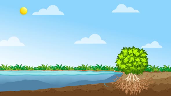 Photosynthesis in Nature alt