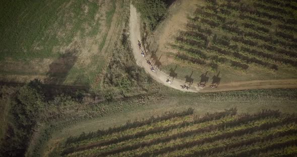 Horses riding in the countryside