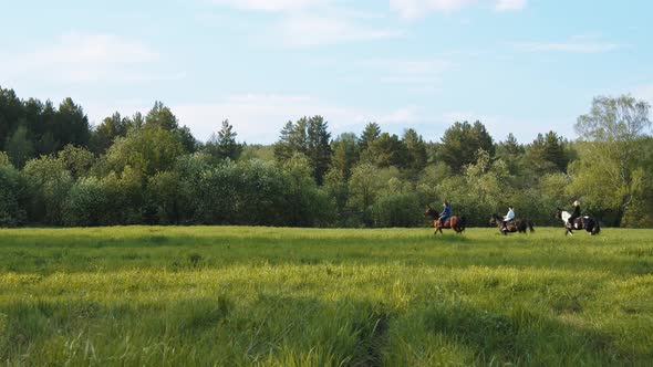 People Ride Horses Along the Forest Through the Meadow alt