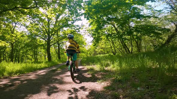 A Boy Rides a Bicycle on a Path in the Forest. The Road in the Spring Park. Children's Sport.