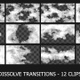 Dissolve transitions with alpha - VideoHive Item for Sale