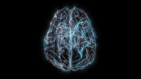 3D Human Brain with Moving Neuron Signals alt