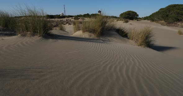 Wild landscape, Espiguette, Camargue, France. In the background is the lighthouse of Espiguette. alt