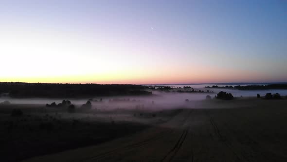 2 Morning Fogs In The Fields