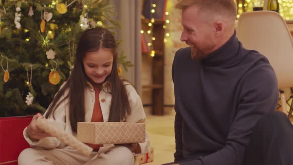 Christmas Celebrations, Fireplace And Christmas Tree, Christmas Preparation Process (19) alt