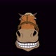 Horse Smiling - VideoHive Item for Sale