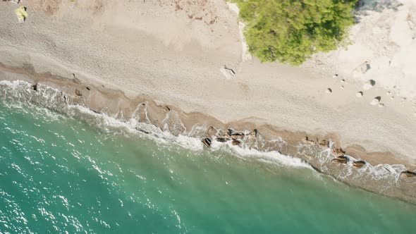 Aerial top down view of sea water, sandy beach and pine forest