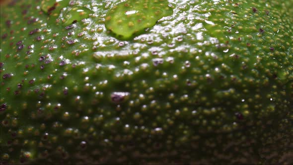A Drop of Water Drains Over a Fresh Avocado, a Macro Static Shot. Green Vegetable Extreme Close-up