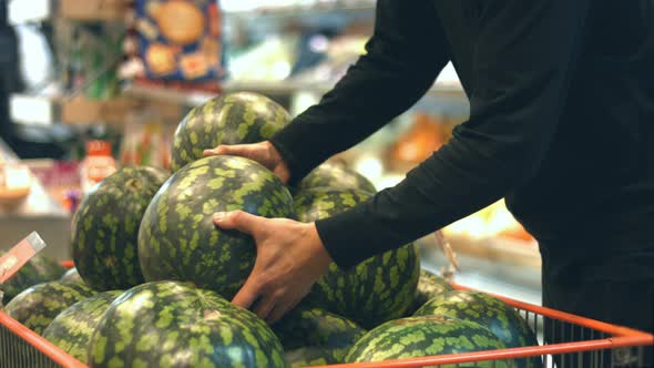 Fruit Box with Watermelons at Supermarket alt
