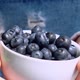 Woman Holding Bowl with Fresh Blueberries - VideoHive Item for Sale