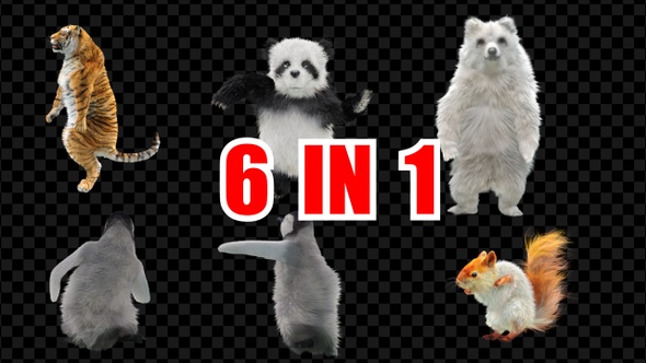 Tiger Panda Bear Penguin Squirrel Dancing 6 Pack alt