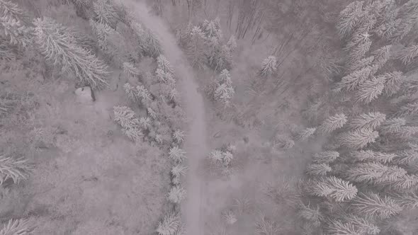 Transalpina Snowy Mountain Road