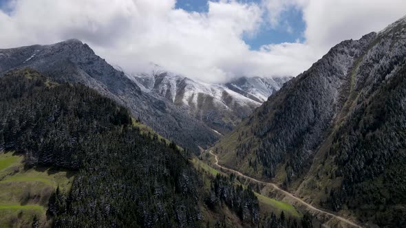 Snow Capped Mountains And Forests alt