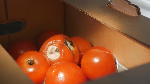 Rotten Tomatoes in a Cardboard Box