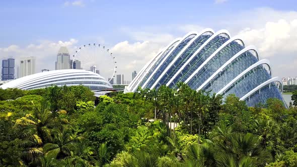 Aerial View of Cloud Forest Dome and Flower Dome at the Gardens by the Bay, Singapore.