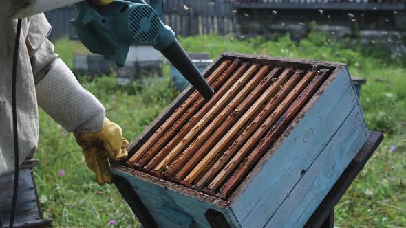 Beekeeper Uses Airblowing Device To Brush Bees Aside alt