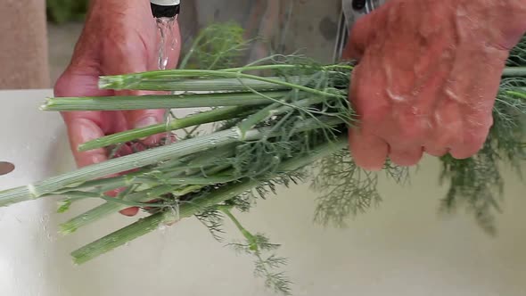 Old Workers Hands. alt