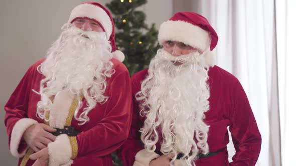 Portrait of Two Santas in Red Costumes Laughing and Holding Bellies. Positive Funny Caucasian Men alt
