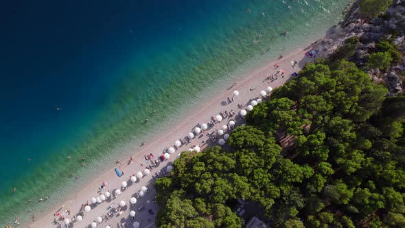 Vertical View of the Sea Coast with Sun Umbrellas and Sun Beds From Drone at Sunset