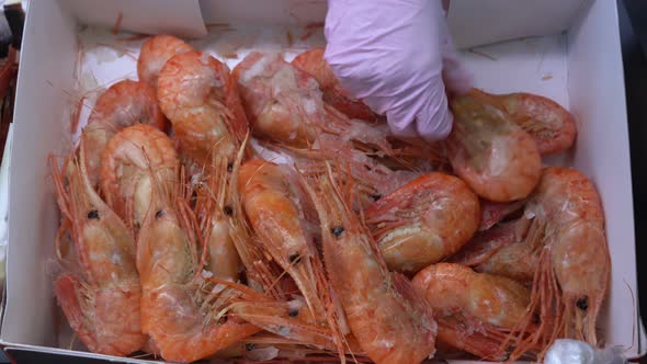 Hand Shows Frozen Seafood Shrimps on Counter in Fish Market