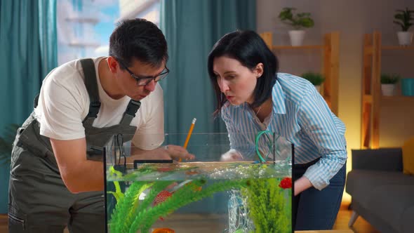 Close Up Service Man Aquarist Advises a Young Woman About the Aquarium alt