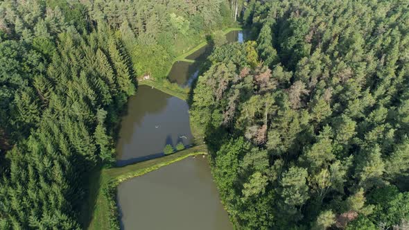 Flight over fish ponds in forest, Bavaria, Germany. alt