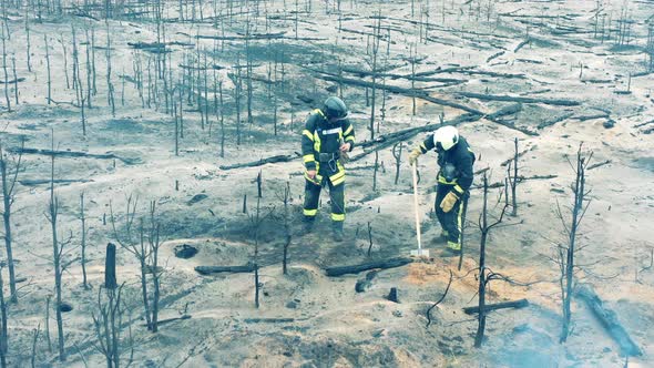 Residual Woodland Fire is Getting Damped Down By Firemen alt