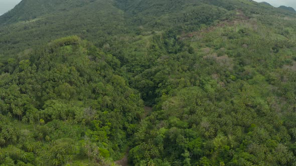 Mountains Covered with Rainforest Philippines Camiguin alt