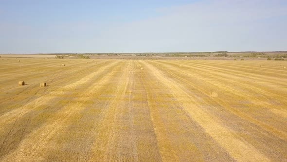 Haystacks Rural Harvest Field