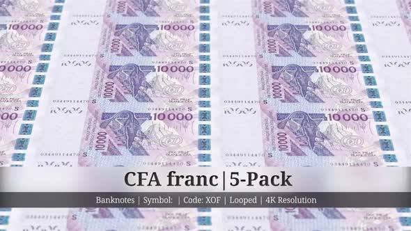 CFA franc | West African States Currency - 5 Pack | 4K Resolution | Looped alt