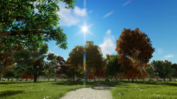 Beautiful Forest alt