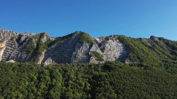 Wonderful Nature alt