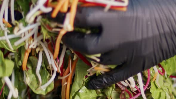 Green salad prepared in slow motion with carrots, leafs, lattuce and sprouts alt