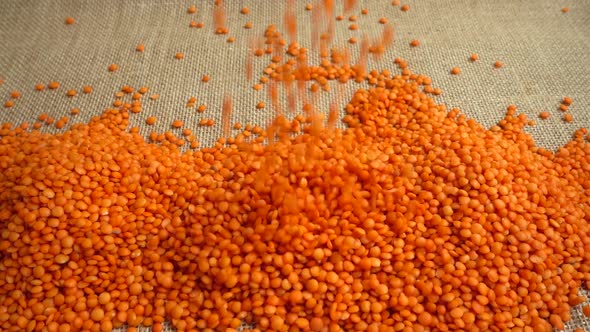 Lentil Falling on Burlap alt