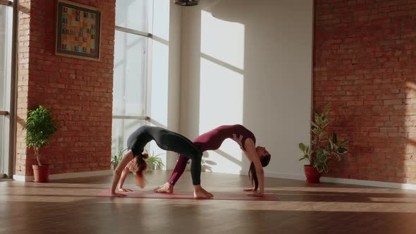 Young Womans Doing Beautiful Pair Asana Eka Pada Urdhva Dhanurasana in a Spacious Yoga Studio alt