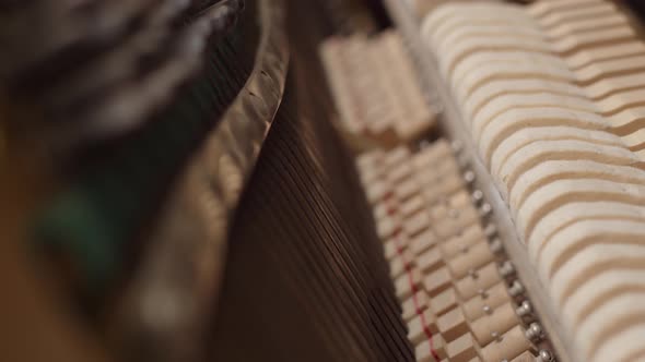 Movement of Hammers Inside Piano View From Inside the Instrument alt