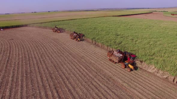 Sugar cane hasvest plantation with three machines view aerial alt