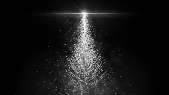 Animated White Christmas Pine Tree Star isolated seamless loop HD