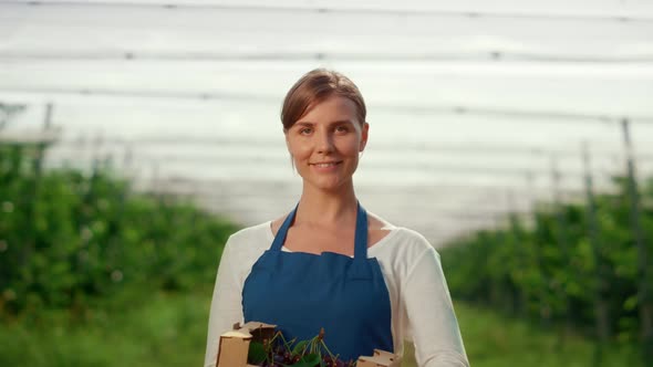 Business Farmer Holding Box with Fresh Fruit at Summer Farm in Harvest Season alt
