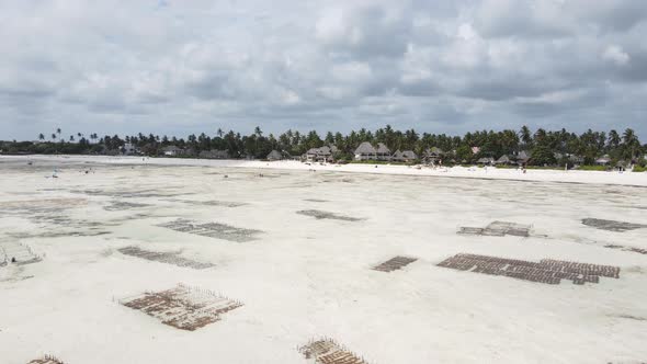 Low Tide in the Ocean Near the Coast of Zanzibar Island Tanzania alt