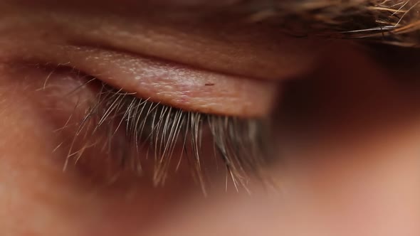 Black Eyelashes Of A Man Close Up. Black Eyelashes Of The Eye. Cosmetology. Human Eye