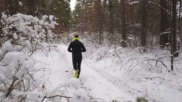 Running In Winter Forest