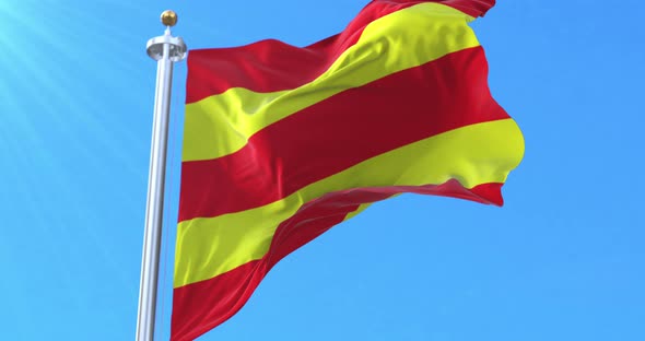 Flag of Aust-Agder fylke, Norway alt