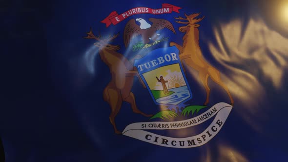 Michigan State Flag alt