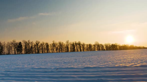 A field in white snow with a sunset on the horizon