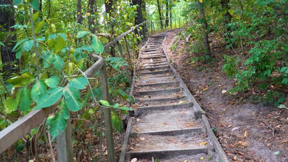 Old Wooden Staircase in Forest