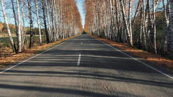 Driving on empty autumn road, going backward