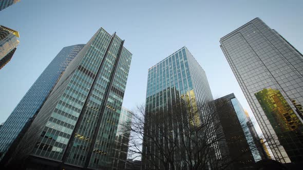 Towering skyscrapers and office buildings downtown. alt