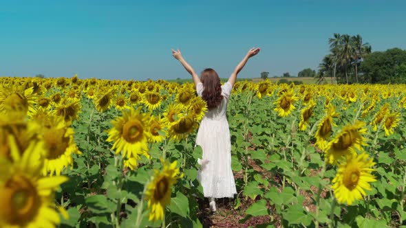 cheerful woman walking with arms raised and enjoying with sunflower field alt
