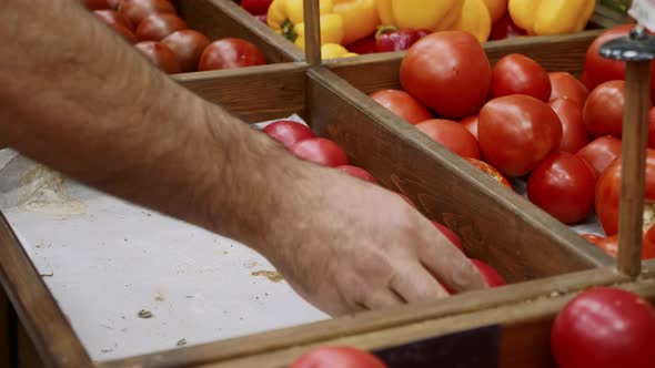 Closeup Hands of Grocery Worker Is Arranging Vegetables on Store Shelves